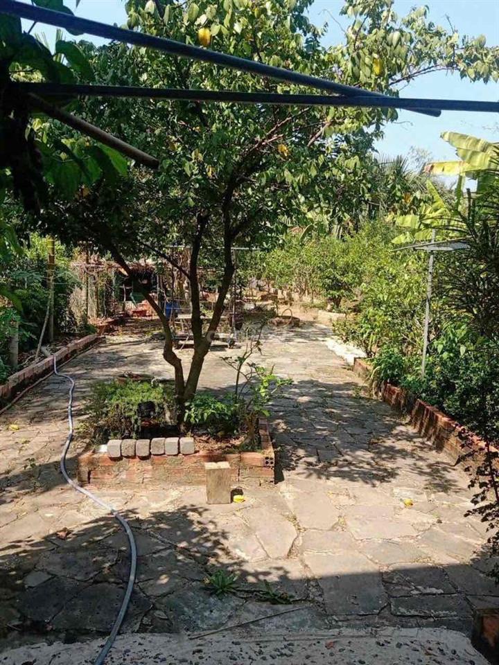 Bán Nhà Đất ở Ấp Vĩnh An 2