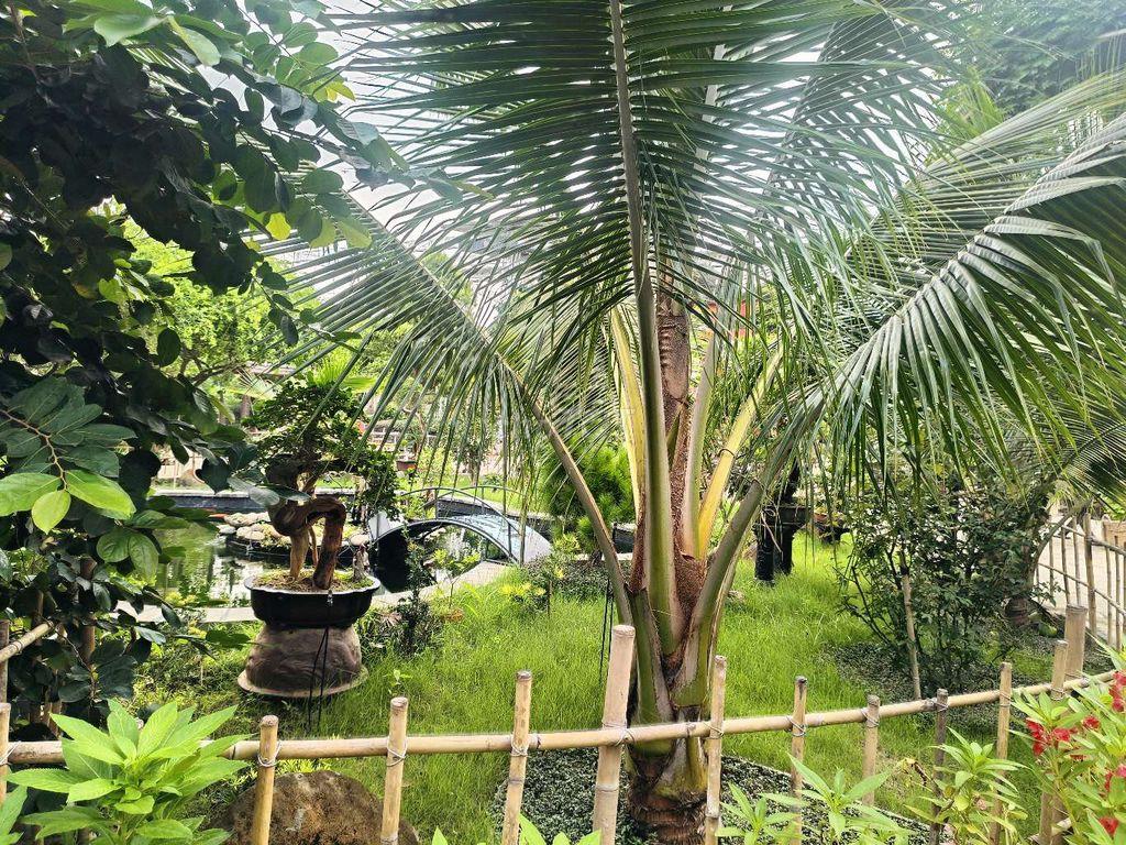 Biệt phủ sân vườn trung tâm TP Đồng Nai