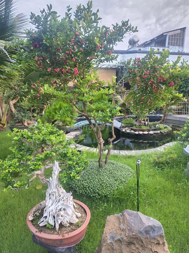 Biệt phủ sân vườn trung tâm TP Đồng Nai