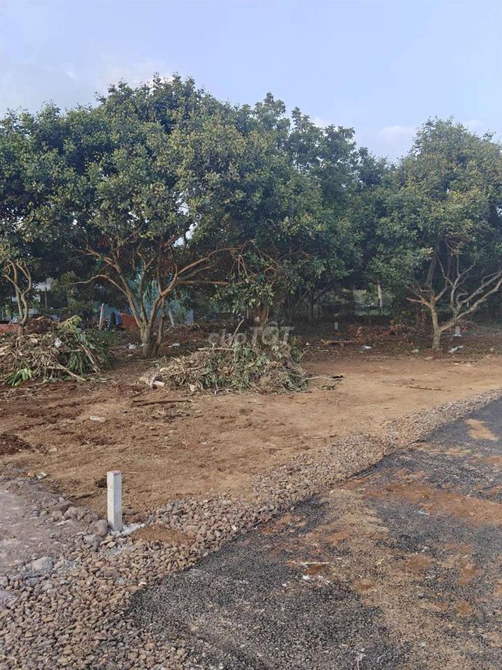 Đất Nền mặt tiền nhựa trung tâm Phường Bình Lộc