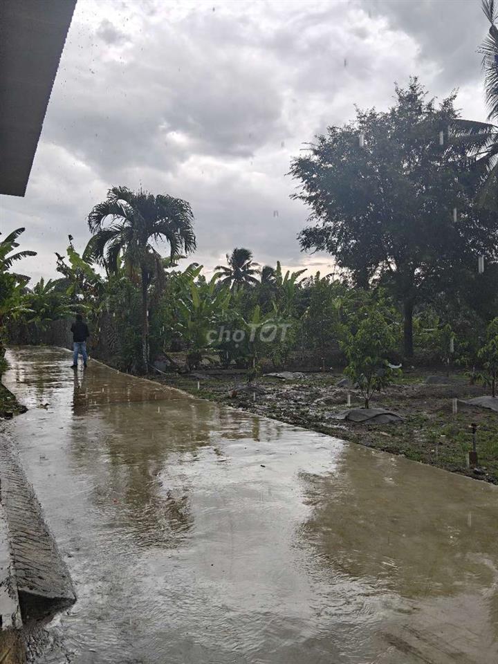 Đất vườn có 300m2 thổ cư, và nhà cấp 4 lớn