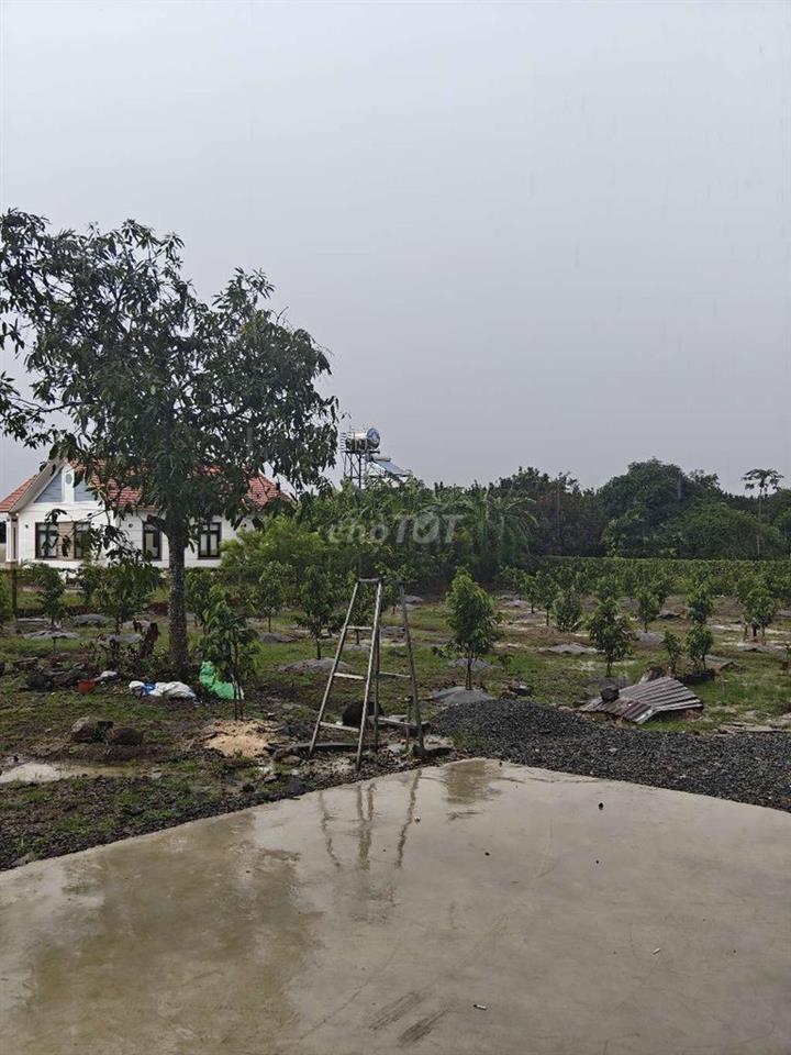 Đất vườn có 300m2 thổ cư, và nhà cấp 4 lớn