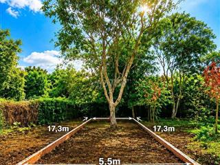 nền đường rộng 16m có vỉa hè và đèn đường