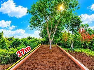 Nền trung tâm Phường ngay khu dân cư bàn cờ sau chợ