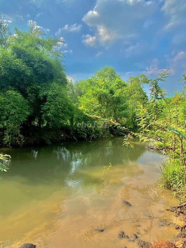 Bán đất view suối 7x22m