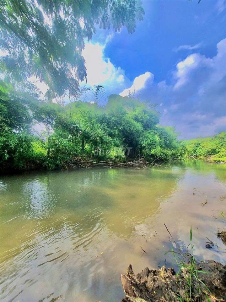 Bán đất view suối 7x22m