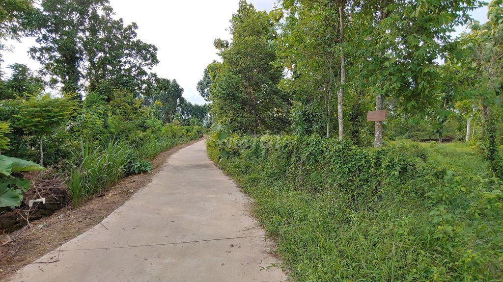 BÁN ĐẤT PHÚ LẬP CŨ, TÀ LÀI , TÂN PHÚ, ĐỒNG NAI: 1,941 m², 25m MẮT TIỀN