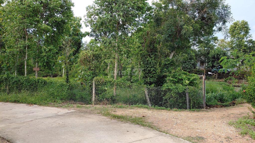 BÁN ĐẤT PHÚ LẬP CŨ, TÀ LÀI , TÂN PHÚ, ĐỒNG NAI: 1,941 m², 25m MẮT TIỀN