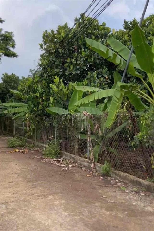 Bán 1.000m² đất 2 mặt tiền tại Xuân Thiện, Thống Nhất, Đồng Nai