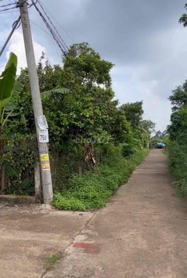 Bán 1.000m² đất 2 mặt tiền tại Xuân Thiện, Thống Nhất, Đồng Nai