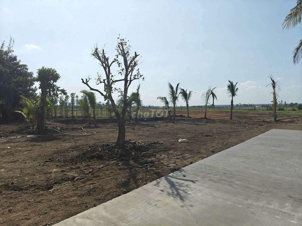 BÁN 1700M2 VIEW SUOI THỀ TẠI SÔNG RAY ĐỒNG NAI,CÓ 400TC,ĐƯỜNG 4M,2.5TI