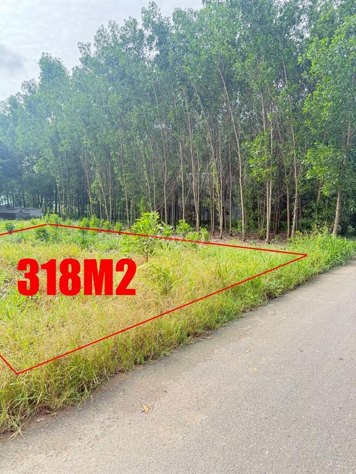 ĐẤT RỘNG 318m² TẠI AN VIỄN - TRẢNG BOM