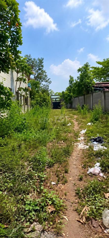 View hồ Trị An ngay Mã Đà hơn 600m² có thổ cư, bến du thuyền, 6,5 tỷ