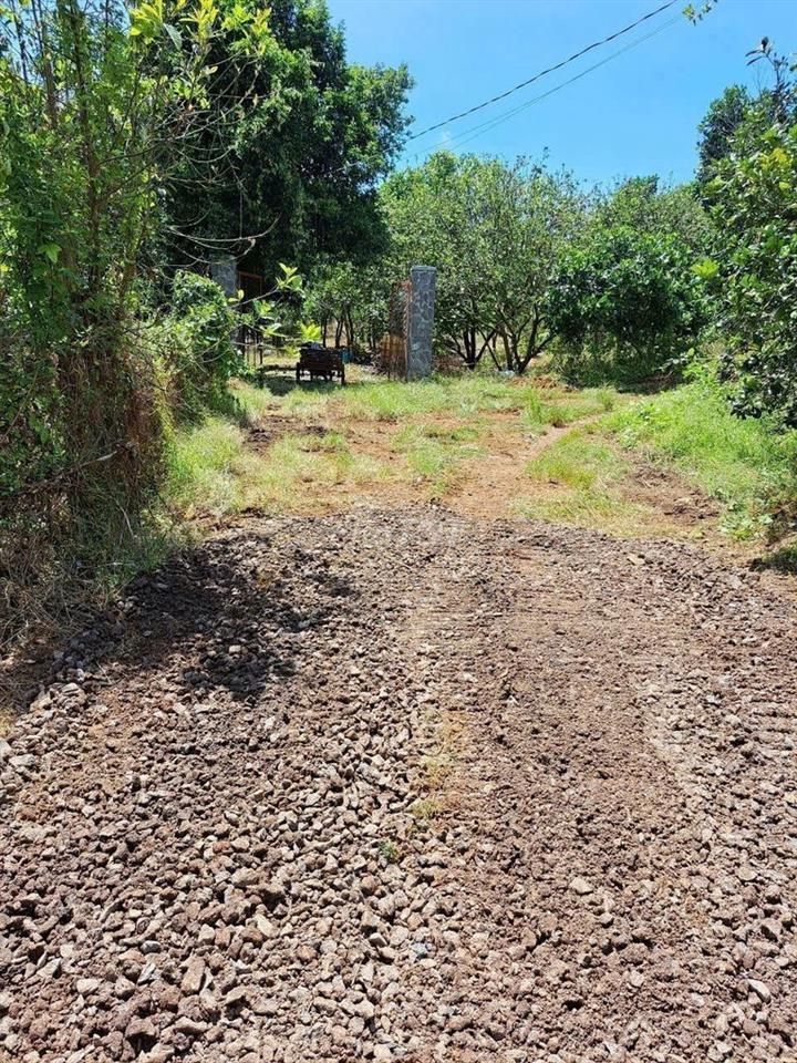 🌿 1.754m² TÚC TRƯNG - 100m² THỔ CƯ - MT 30M - GIÁ TỐT ĐẦU TƯ!