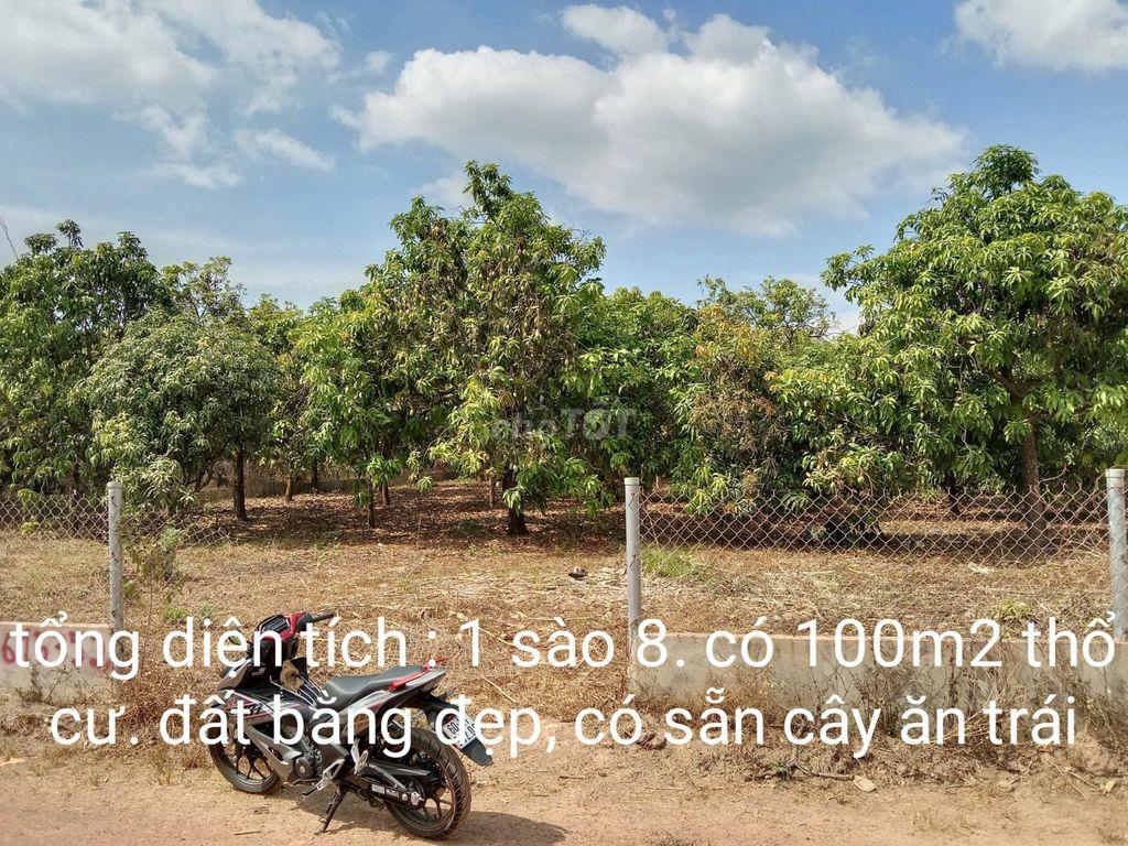 🌿 1.754m² TÚC TRƯNG - 100m² THỔ CƯ - MT 30M - GIÁ TỐT ĐẦU TƯ!