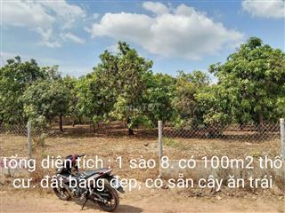 🌿 1.754m² TÚC TRƯNG - 100m² THỔ CƯ - MT 30M - GIÁ TỐT ĐẦU TƯ!