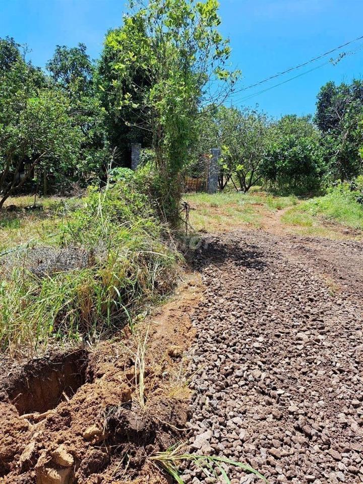 🌿 1.754m² TÚC TRƯNG - 100m² THỔ CƯ - MT 30M - GIÁ TỐT ĐẦU TƯ!
