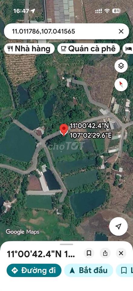 Chuyển nhượng đất ONT và CLN An Viễn Trảng bom