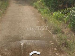cần bán