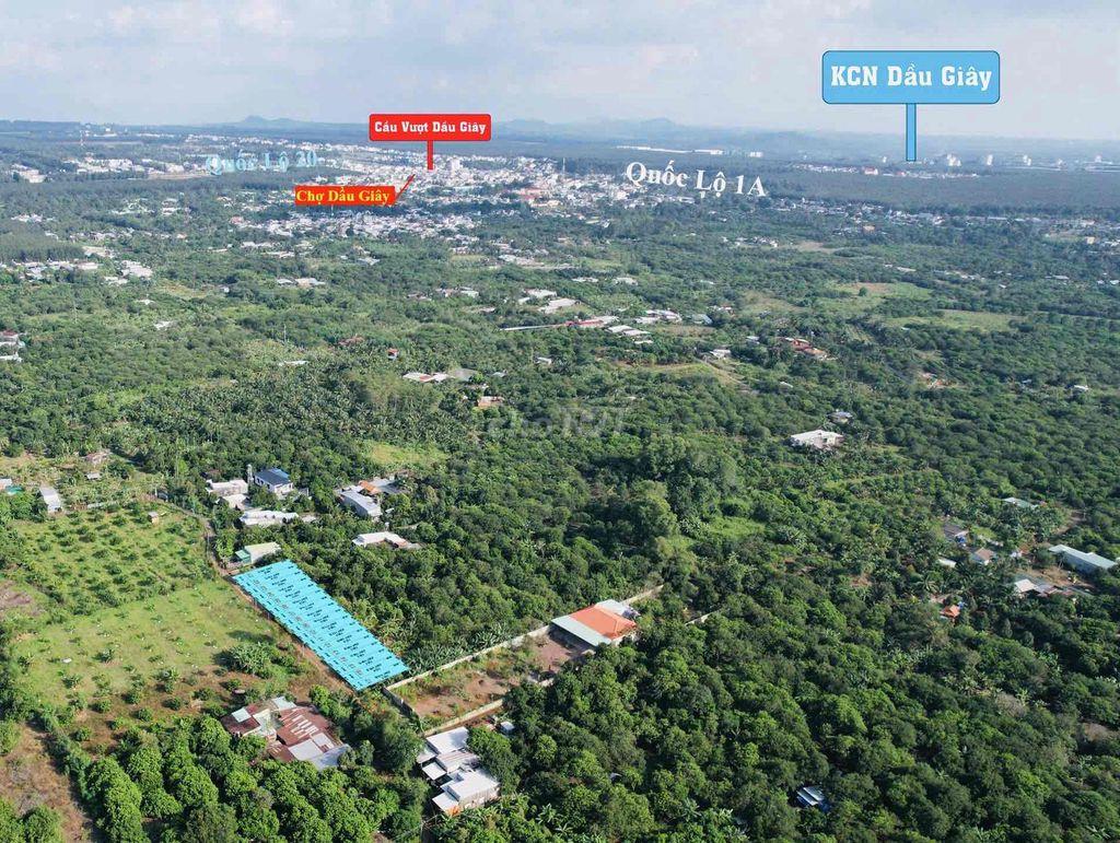 CHỈ 599tr - CC CẦN BÁN ĐẤT SỔ SẴN NGAY CHỢ DẦU GIÂY GIÁ RẺ