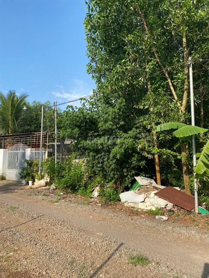 Bán đất