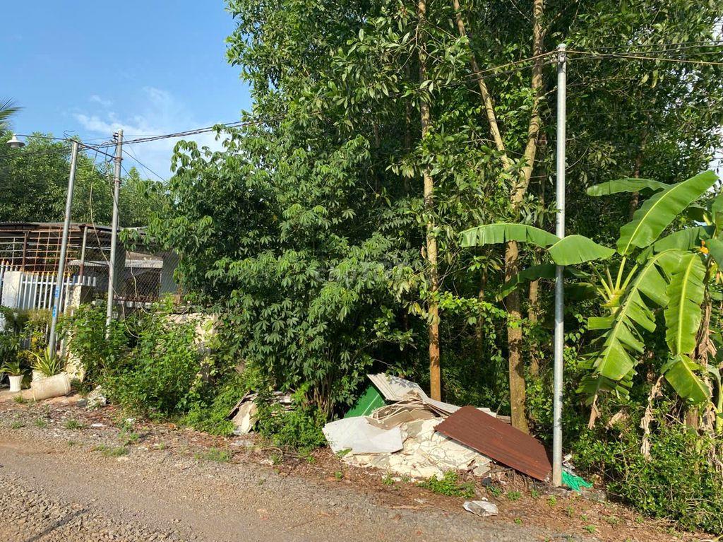 Bán đất