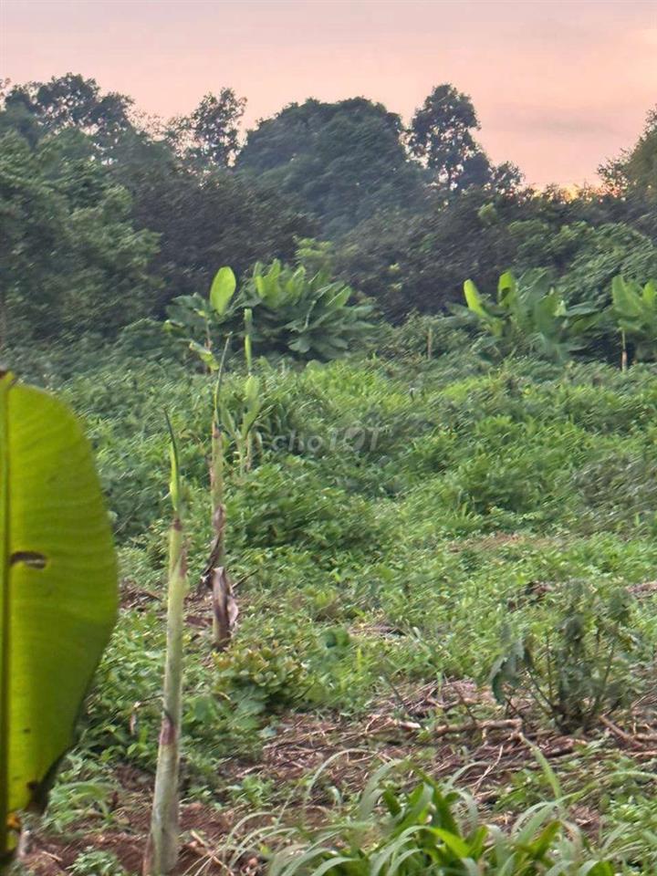 đất rộng 5000m2 3 mặt tiền