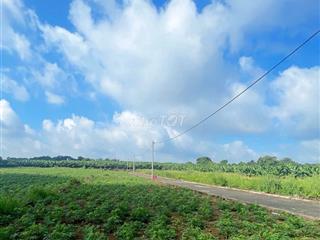 Đất Đông Hòa, Trảng Bom- Sổ riêng