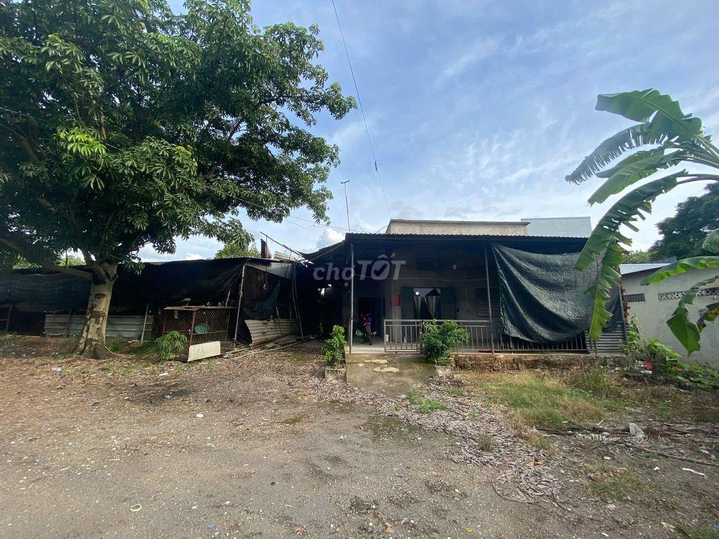 CẦN BÁN ĐẤT TRANG TRẠI 4.000m²ĐƯỜNG PHAN CHU TRINH, GIA KIỆM, ĐỒNG NAI