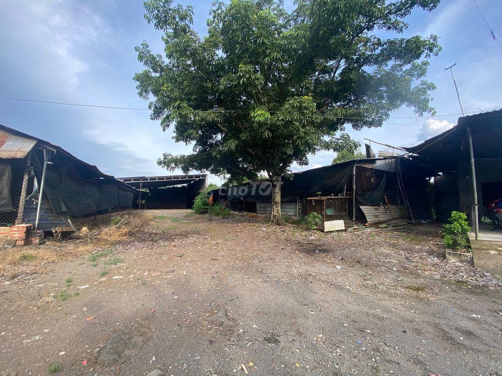 CẦN BÁN ĐẤT TRANG TRẠI 4.000m²ĐƯỜNG PHAN CHU TRINH, GIA KIỆM, ĐỒNG NAI