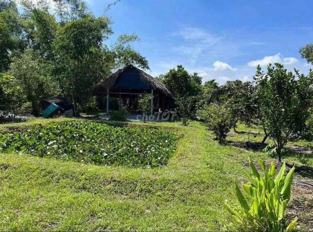 Cần bán gấp lô đất full thổ cư