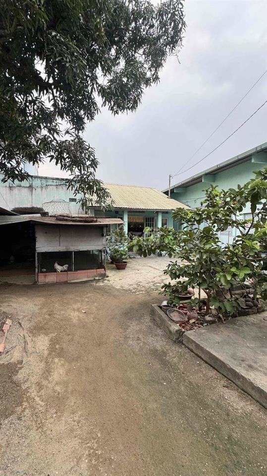 Cần bán gấp căn nhà và 10 phòng trọ