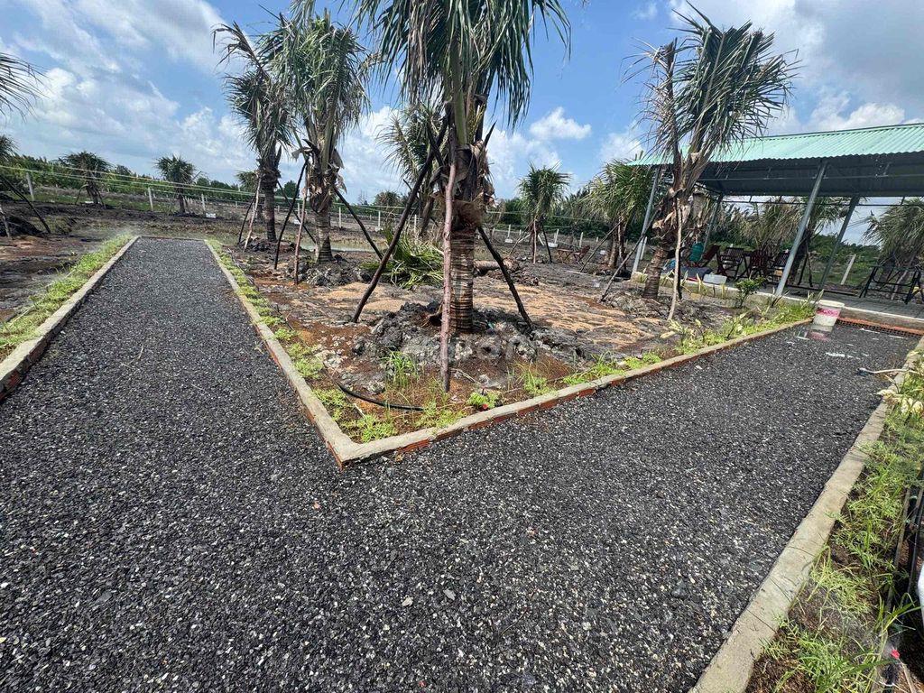 1.200m² – CÓ SẴN NHÀ VƯỜN 🚗 Ô TÔ TỚI TẬN ĐẤT – VĨNH THANH, NHƠN TRẠCH