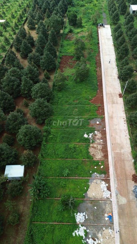 1100m2 sở hữu 60m mặt tiền đường bê tông 7m