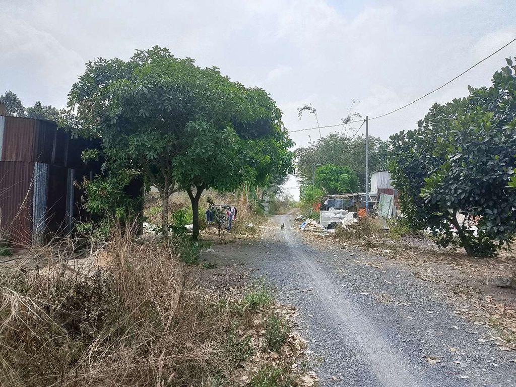 đất ở nông thôn 
