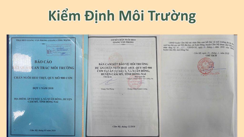 Chuyển Nhượng Trang Trại Heo Quy Mô Lớn (Có Thương Lượng)