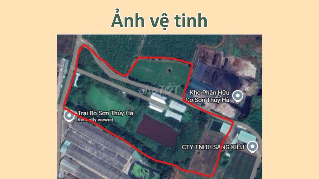 Chuyển Nhượng Trang Trại Heo Quy Mô Lớn (Có Thương Lượng)