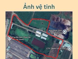Chuyển Nhượng Trang Trại Heo Quy Mô Lớn (Có Thương Lượng)