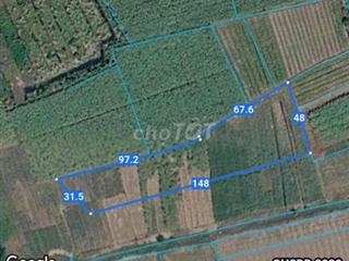 🔥 Bán Gấp 5.000m² Đất Mặt Tiền Đường Liên Cảng – Phước Khánh (Đại