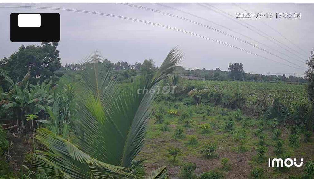 26.000m2  ĐẤT VƯỜN Ở LONG KHÁNH