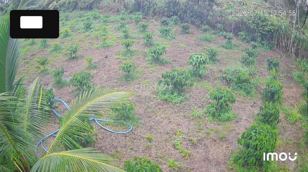 26.000m2  ĐẤT VƯỜN Ở LONG KHÁNH