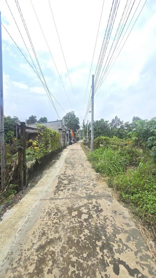 ĐẤT VƯỜN 16 SH RIÊNG CẦN BÁN GẤP