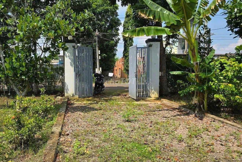 đất vườn cần bán gâps