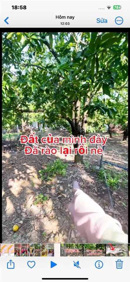 Đất nền thổ cư