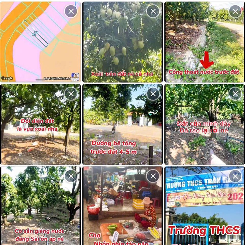 Đất nền thổ cư