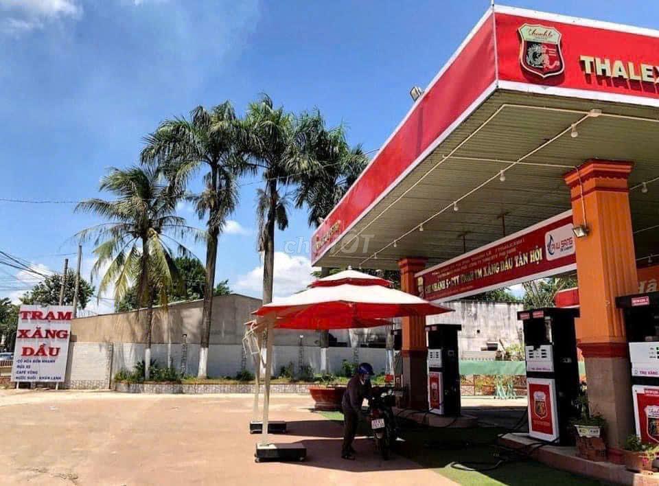 IB EM HOẶC LH NHA