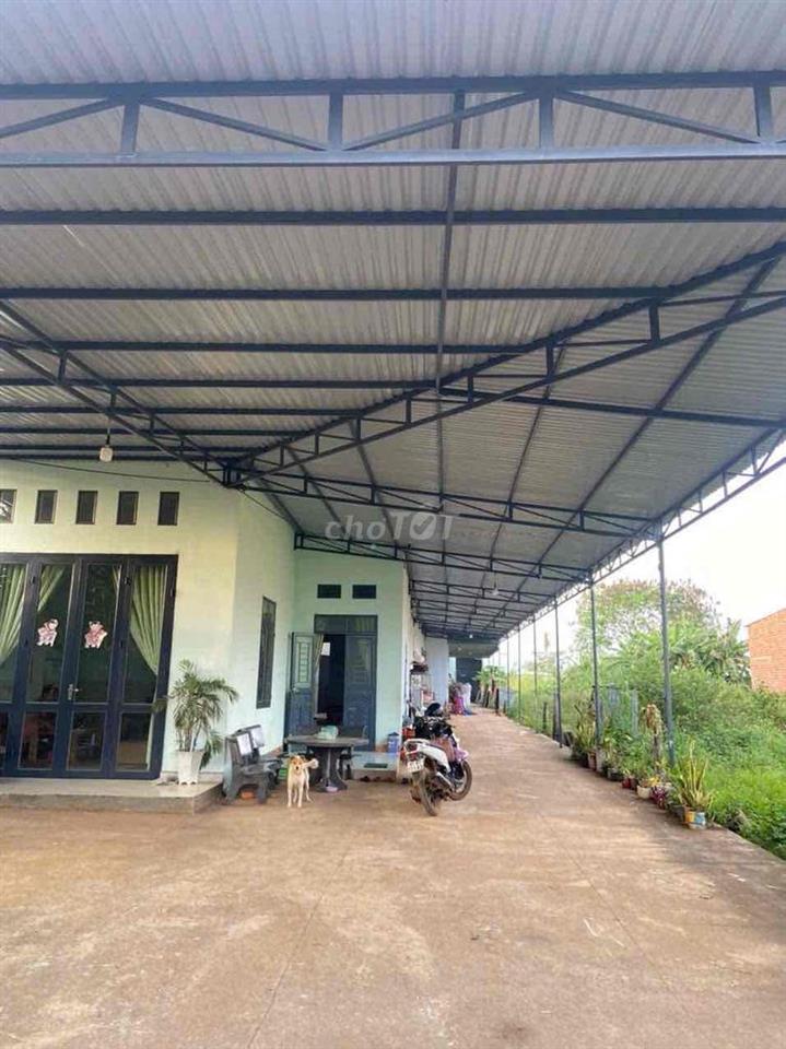 CẦN BÁN GẤP GIÁ RẺ,CÓ THÊM 1000m2 ĐẤT RUỘNG FULL giấy tờ.