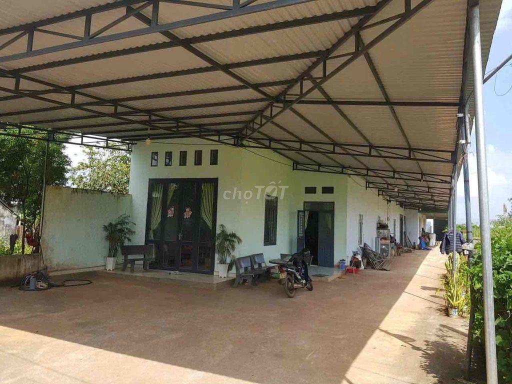 CẦN BÁN GẤP GIÁ RẺ,CÓ THÊM 1000m2 ĐẤT RUỘNG FULL giấy tờ.
