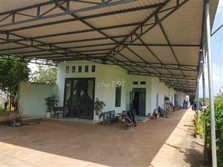 CẦN BÁN GẤP GIÁ RẺ,CÓ THÊM 1000m2 ĐẤT RUỘNG FULL giấy tờ.