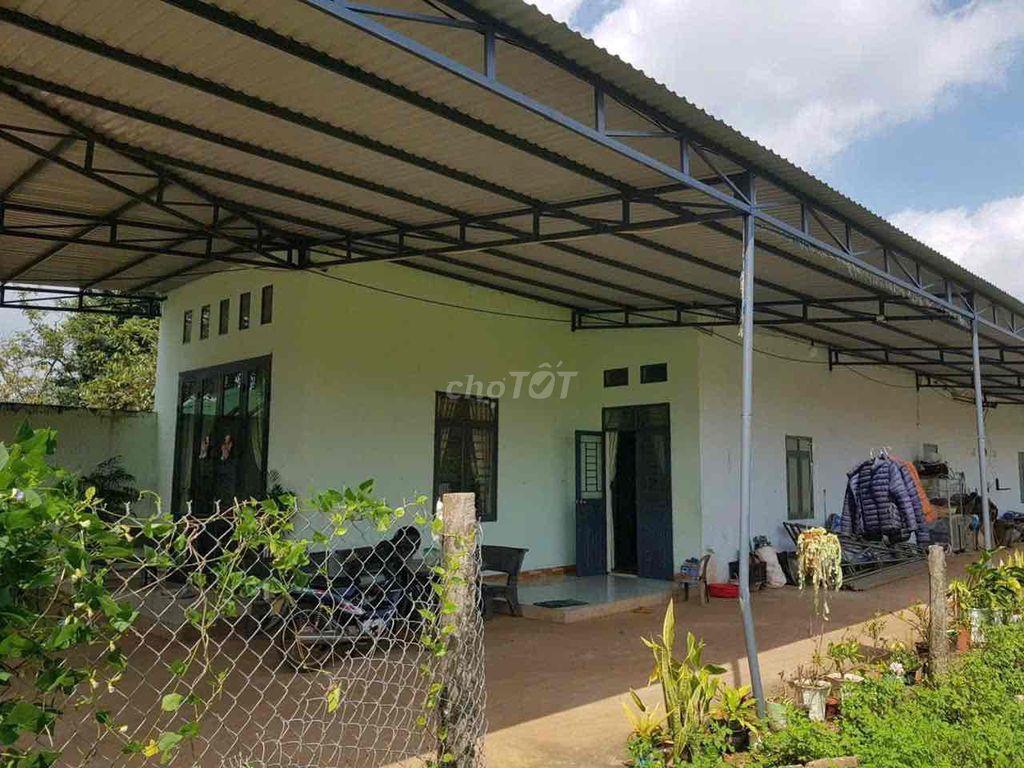CẦN BÁN GẤP GIÁ RẺ,CÓ THÊM 1000m2 ĐẤT RUỘNG FULL giấy tờ.